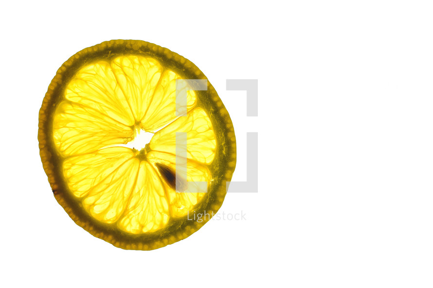 lemon slice 