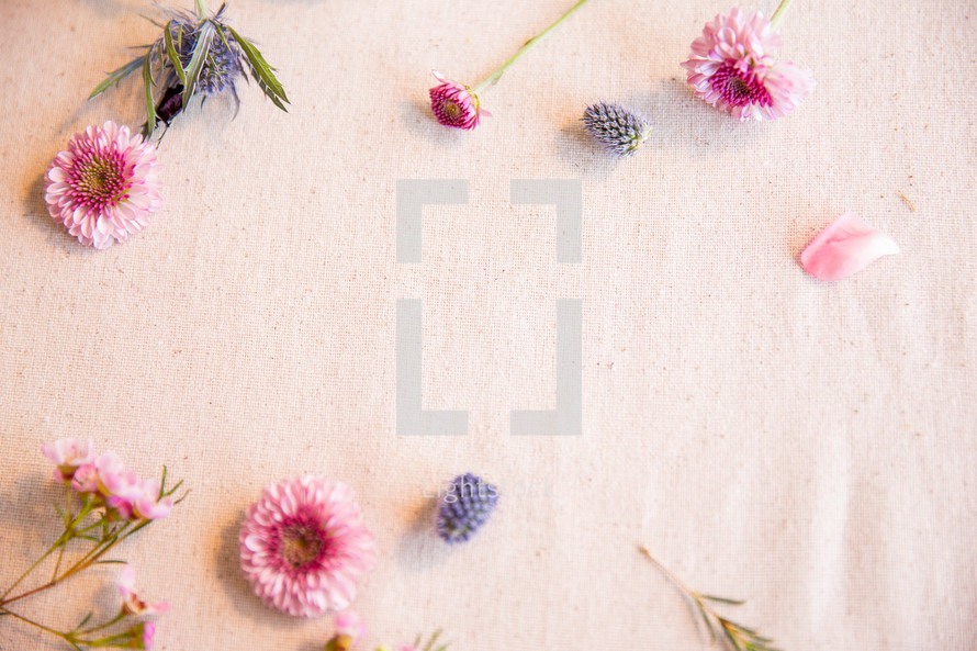 flower pieces on a pink and violet background 