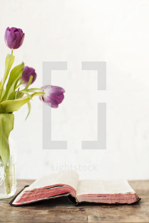 Tulips with a Bible on a wood table.