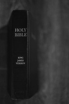 spine of the Holy Bible 