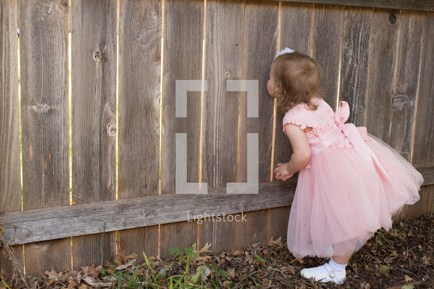 toddler girl peeking through gaps in a fence 