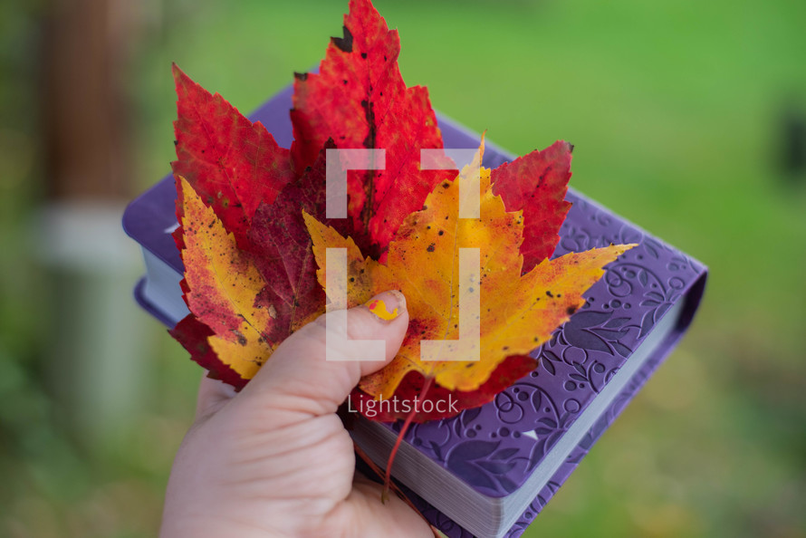 hand holding a Bible and fall leaves 