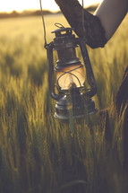 lantern in a wheat field