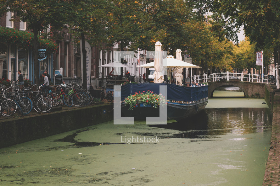 A canal in Delft with seaweed and a tourist boat