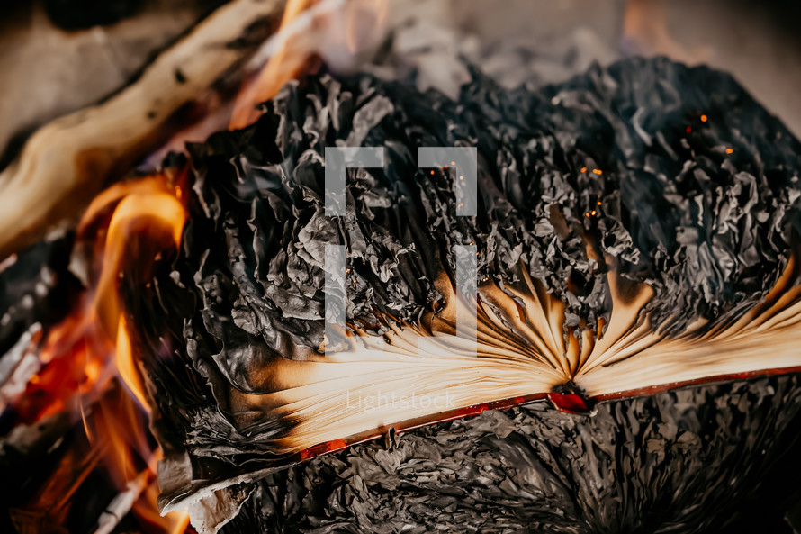 Open book is on fire, pages are engulfed in flames. Concept of censorship, prohibition of freedom information, 451 fahrenheit, old literature in paper format is no longer in demand.
