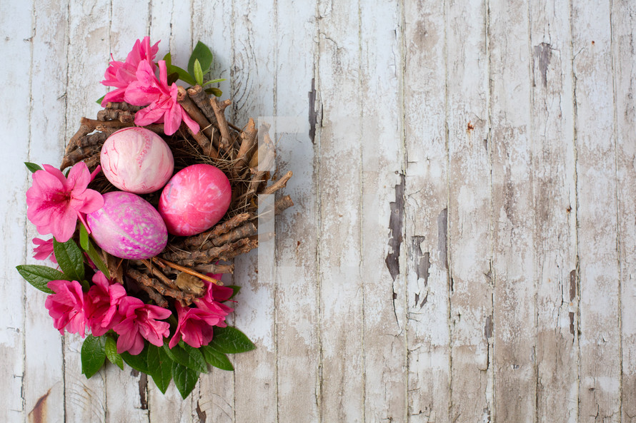 Easter eggs in a bird nest 