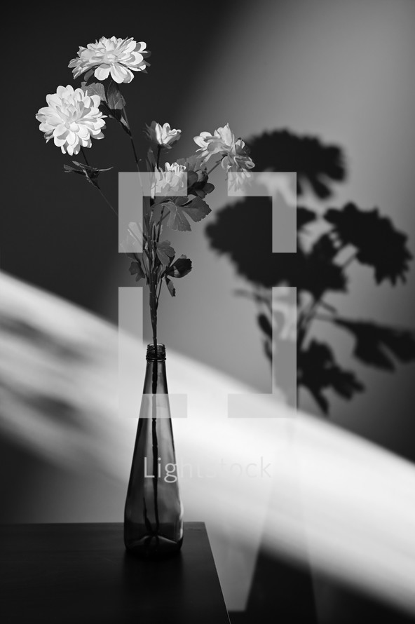 flowers in a vase with shadows 