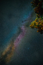 Milky Way galaxy and trees