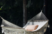 hammock and palm trees 