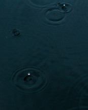 water droplets on water surface