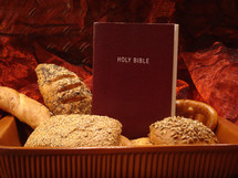 man does not live on bread alone, but on every word that comes from the mouth of God - matthew 4,4,

bread, word, bible, food, alone, gods word, our daily bread, scripture, eat, eating, mouth, matthew, red, bun, feed, nourish, nurturing, subsist, holy, book, daily