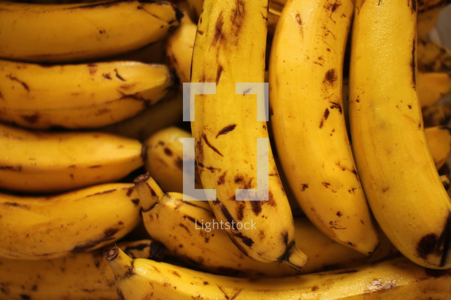 bananas 