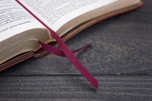 bookmark on the pages of Bible 
