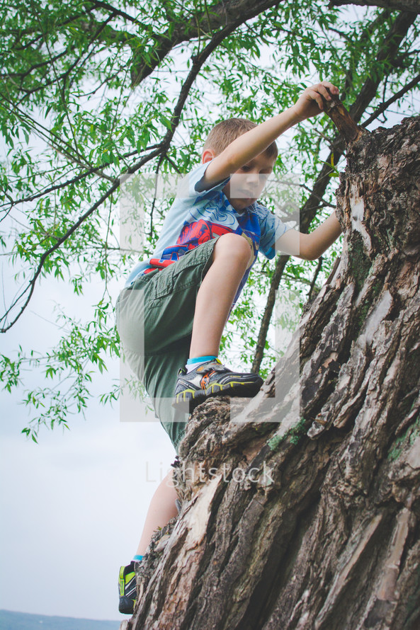 a little boy climbing a tree 