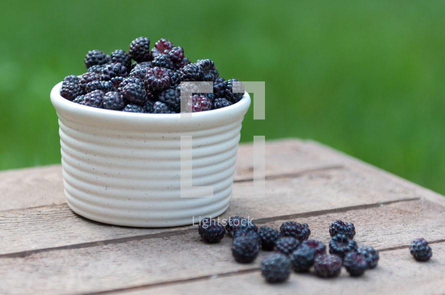 blackberries in a bowl