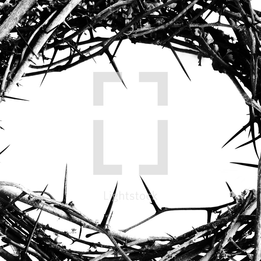 a crown of thorns with copy space in the middle. 