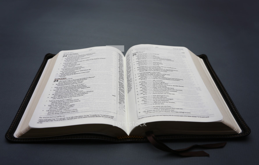 open Bible on a gray background 