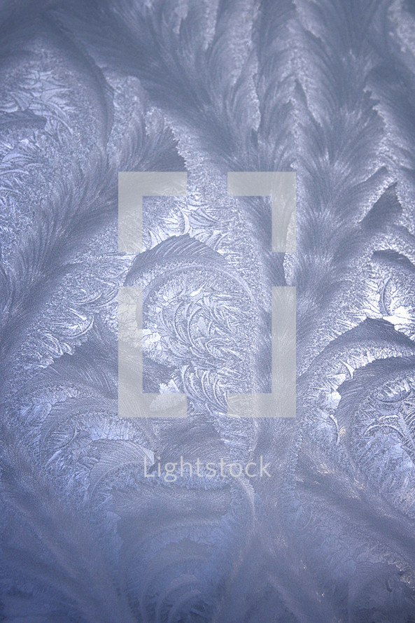 frost on glass 