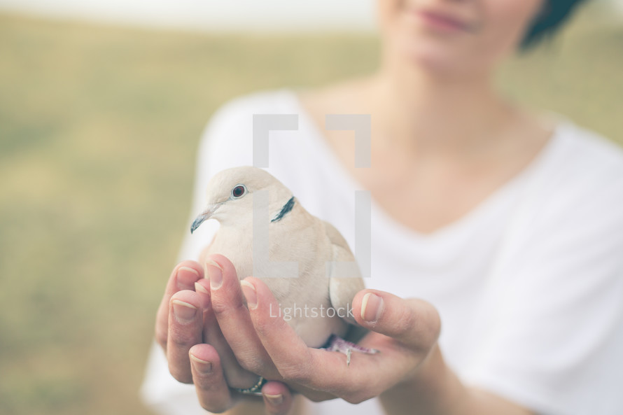 Woman standing outside holding a dove.