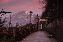small decoration Christmas trees with red ornaments outdoors along a walkway 