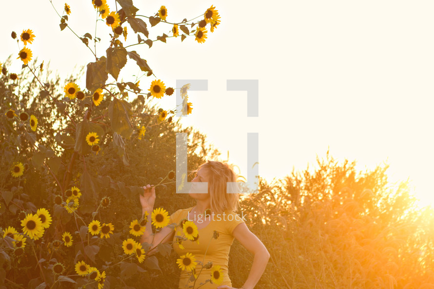 woman smelling sunflowers in a field 