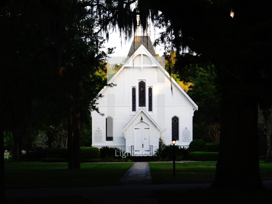 a white church and Spanish moss 