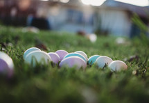 Dyed Easter eggs in green grass 