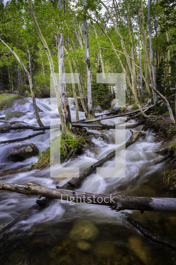The winter's snow is melting in Colorado. Creeks are overflowing their banks in Rocky Mountain National Park