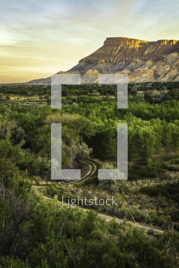 Mt Garfield, located in Grand Junction Colorado, overlooks the green trees on a beautiful spring morning