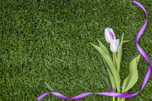 Spring Tulips Background 