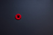 Canada red poppy on black