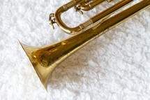 trumpet on a rug 