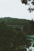 bridge over a river and pine forest 