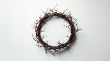 A crown of thorns of Jesus Christ against a white background. 
