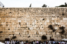 visitors to the western wall 