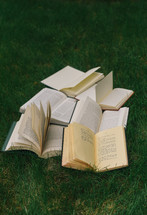 books scattered in a lawn 