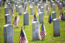 American flags by grave markers at a Veterans Cemetery 