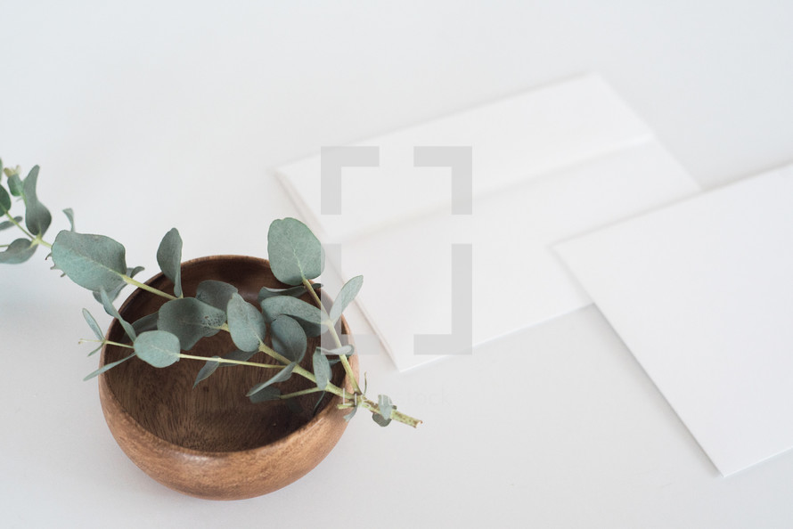eucalyptus in a bowl and stationary 