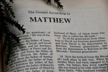 The Gospel According to Matthew 