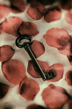 skeleton key and rose petals 