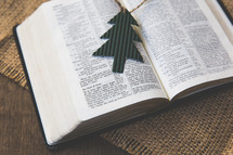 Christmas tree ornament on the pages of a Bible 