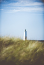 lighthouse and tall grasses 