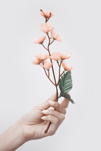 hand holding up a branch of spring flowers