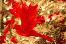 red bird Christmas ornament in a Christmas tree 