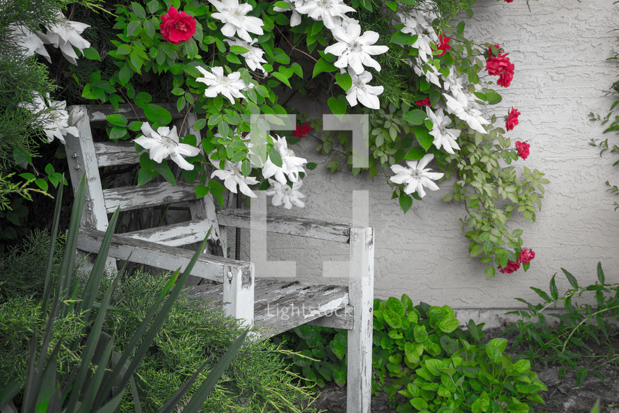 wooden bench in a flower garden 