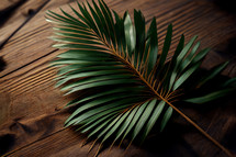 Palm Branch on Wood