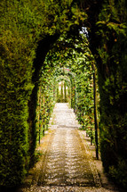 arbor with ivy in a garden in Spain 