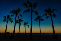 silhouettes of Palm trees on a beach in Spain 