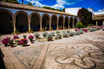 potted plants in a courtyard in Spain 