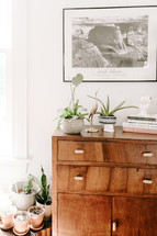 dresser and house plants 